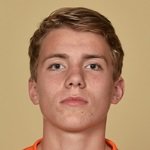 泰斯·比耶夫德